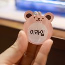 그린별어린이집 | [하율팩토리 어린이집 이름표 / 유치원·초등학교 아크릴 키링 주문제작 네임택 리뷰]