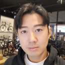 댄디투어 이미지
