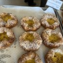 하니스파펜션 이미지