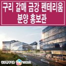 [갈매 지식산업 분양 정보☆] 구리 갈매 금강 펜테리움 ix 타워 분양 홍보관 드라이브인 제조형 지식산업센터 아파트형 공장 분양가 정보 이미지