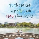 디자인청춘 이미지