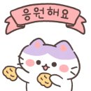 구름 펫 살롱 이미지