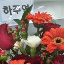 에바다734