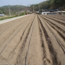 액비골(2) 이미지