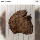 모스크바 인근 트베리서 제2차 세계대전 소련군 유해 발굴 중 한글 쪽지 소지품 나왔다 이미지