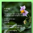 저 꽃처럼 - 이승은 이미지