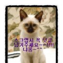 정유희헤어