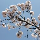 울산시외버스터미널(SKT) 이미지