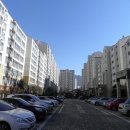 진해대로-3 이미지