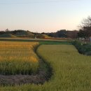 마한농장 이미지