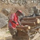 최상배농장 이미지