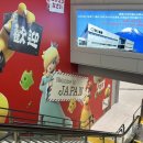 벌룬앤조이 | 일본 도쿄 🇯🇵 데일리룩 🍥 돈키호테 뷰티 추천템까지 ➰