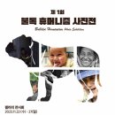 피앤에프 이미지