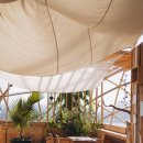 라캄파넬라 이미지