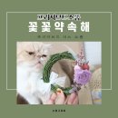 프리저브드소품 꽃꽃약속해 어디서봐도 예뻐요