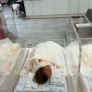 (주)레이디버그필름 | [세종산후조리원추천]봄날산후조리원13박14일 이용후기