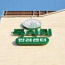 시티독 이미지