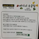 배가네수공업