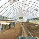 영온농장 이미지