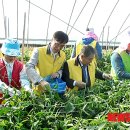 괴산전천후게이트볼장 이미지