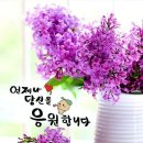 향단이 이미지