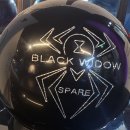 [새볼] [구매완료] 블랙위도우 하드볼 14P 구합니다. (색상 상관무) 이미지