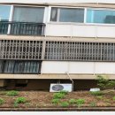 만수약국 앞 이미지