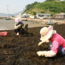 완도식품(주) 이미지