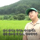 조금느려도괜찮아 이미지