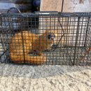 기봉이 농장 이미지