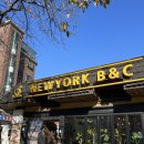 정원B&C | [서울 신촌] 가족, 연인과의 브런치 타임, 편한 분위기가 필요할 때 추천할 만한 뉴욕 B&amp;C 신촌 후기