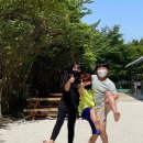 본촌초등학교 이미지