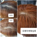 천연염색방 이미지