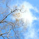 수산리-19 이미지