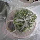 밤가시카서비스 이미지