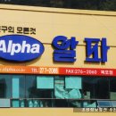 알파문구목포