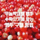 김박사연구소 이미지