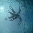 요나고래 | [일본 오키나와] 2일차/츄라우미수족관,푸른동굴스노쿨링,더비치타워오키나와,88스테이크,츄라우온천