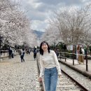 창원시 상수도사업소 - 13752 | 진해군항제에서 제로웨이스트 이렇게 실천해 봤어요