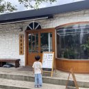 세화복우동
