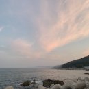 태보회대게