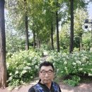 푸른당구장 이미지
