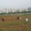 초지농장 이미지