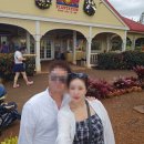 줌줌유통 | 하와이 오아후 일일투어｜렌트 없이 신혼여행 솔직후기