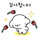 글램독가평 이미지