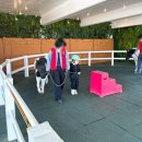 승마장 관리사무실 2층 | 6세, 7세 대구 체험 대덕승마장 이용기