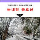 금호산 유아숲체험원 겨울 설경 폭설 내린날