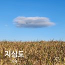 지심도 | 거제 지심도 자연생태 동백숲 트레킹 배편예약