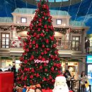 마이스터 랩 이미지