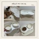 고양이 밥그릇 추천 헬로우펫 맞춤 높이 식탁 밥그릇 매트 솔직 후기